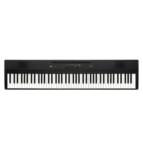 Korg Liano L1 88-key Digital Piano Keyboard