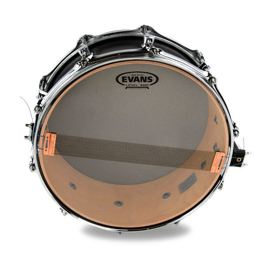 Evans 300 Snare Side