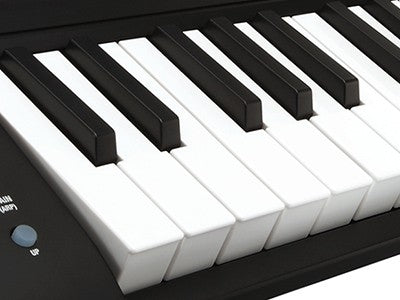 Korg microKEY-25 25-key Keyboard Controller