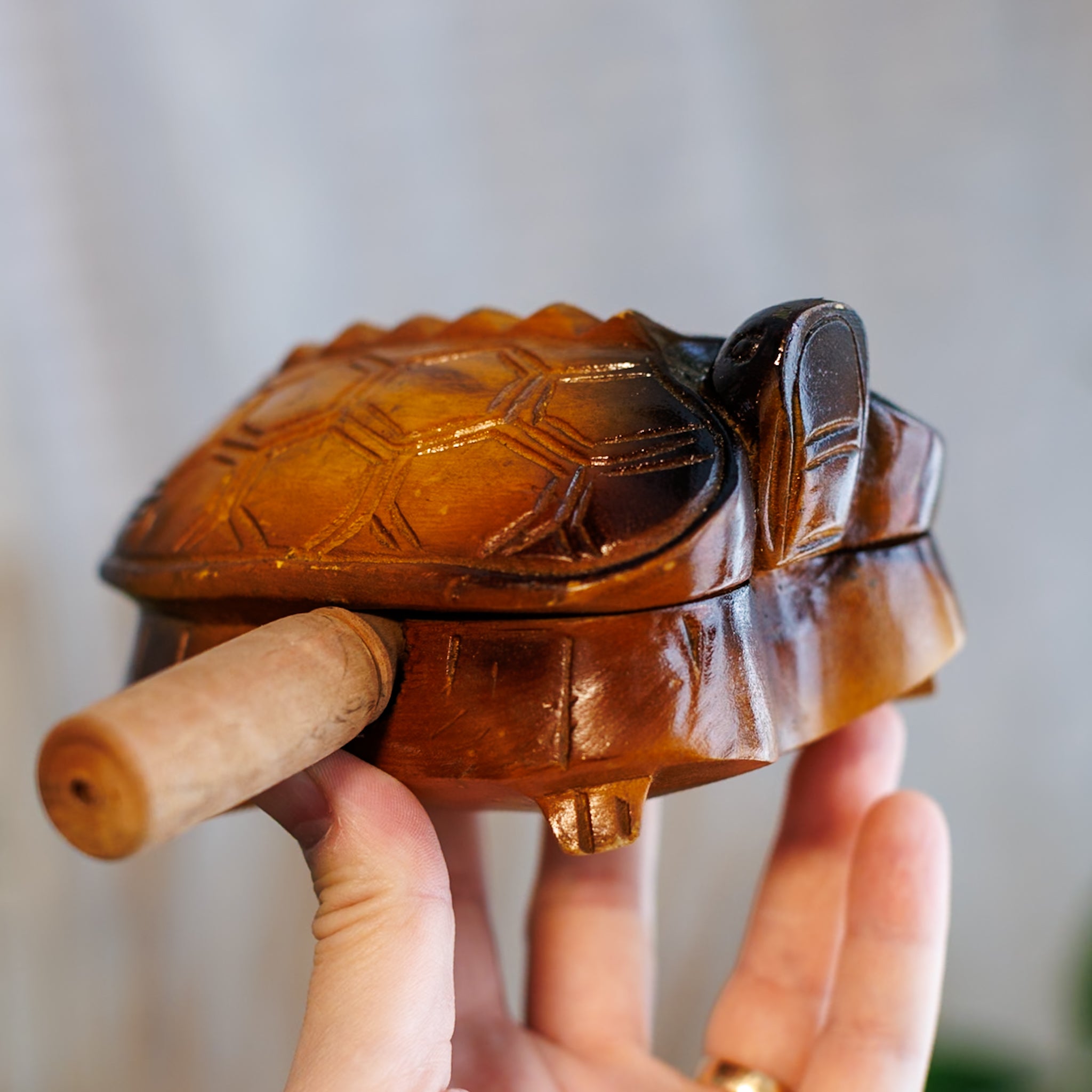 Turtle Guiro - Medium