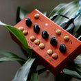 Load image into Gallery viewer, Critter & Guitari EYESY Video Synthesizer
