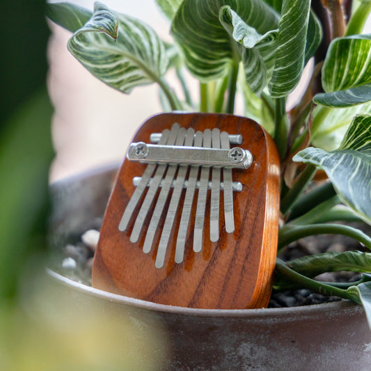 Pocket Kalimba