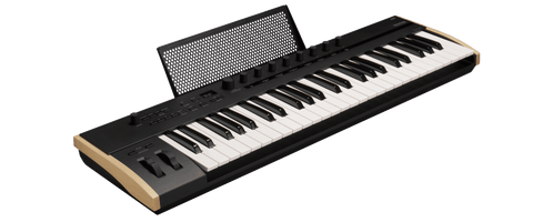 Korg Keystage-49 MIDI Keyboard Controller (49-key)