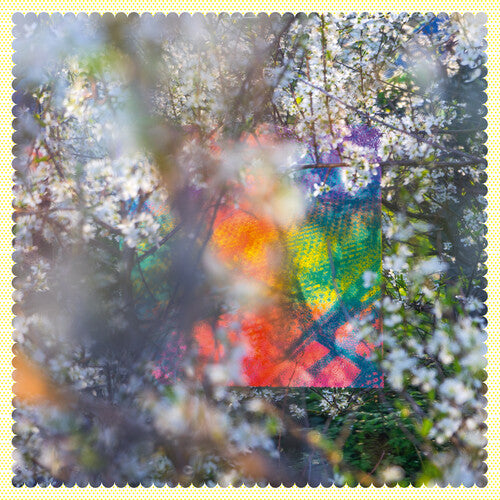 Four Tet - Sixteen Oceans LP