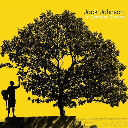 Jack Johnson - In Between Dreams LP
