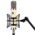 Load image into Gallery viewer, Warm Audio WA-251 Tube Condenser Microphone
