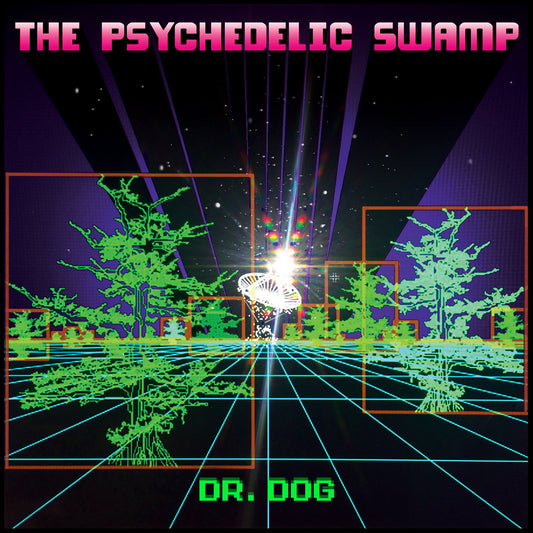 Dr. Dog ‎– The Psychedelic Swamp LP