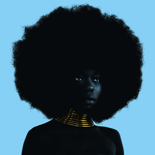 Sudan Archives - Sink LP