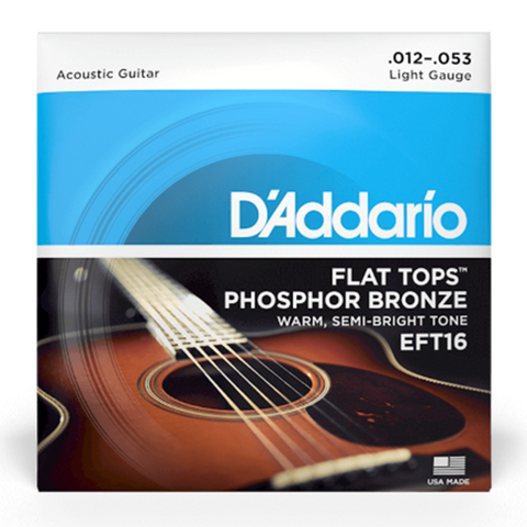 D'Addario Phosphor Bronze Flat Top Acoustic Guitar Strings Light EFT16