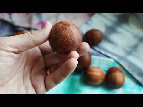 Wood Egg Shaker