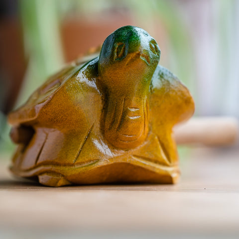 Turtle Guiro
