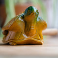 Load image into Gallery viewer, Turtle Guiro
